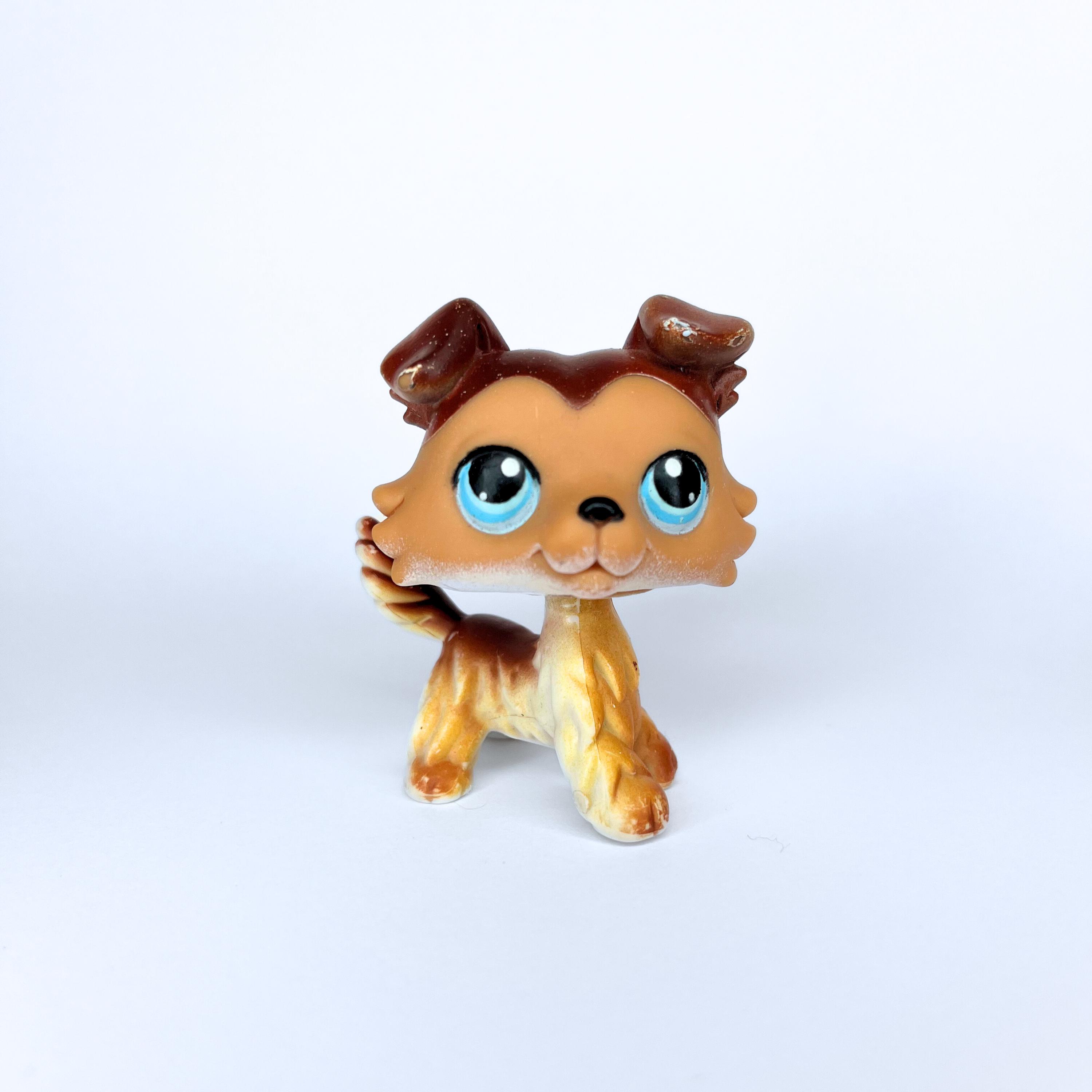 Littlest Pet Shop Collie #58 Sage' with original accessories and a fr– My Cute Cheap Store