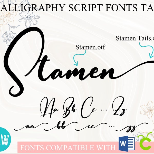 Stamen Font with Tails | Cursive font Calligraphy font Script font Handwritten font Wedding font for Cricut Word | OTF