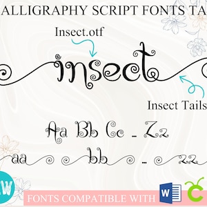 Può includere: Due font di scrittura calligrafica chiamate "Insect" e "Insect Tails". I font sono mostrati in uno stile decorativo con spirali e code. I font sono compatibili con Microsoft Word e altri software.