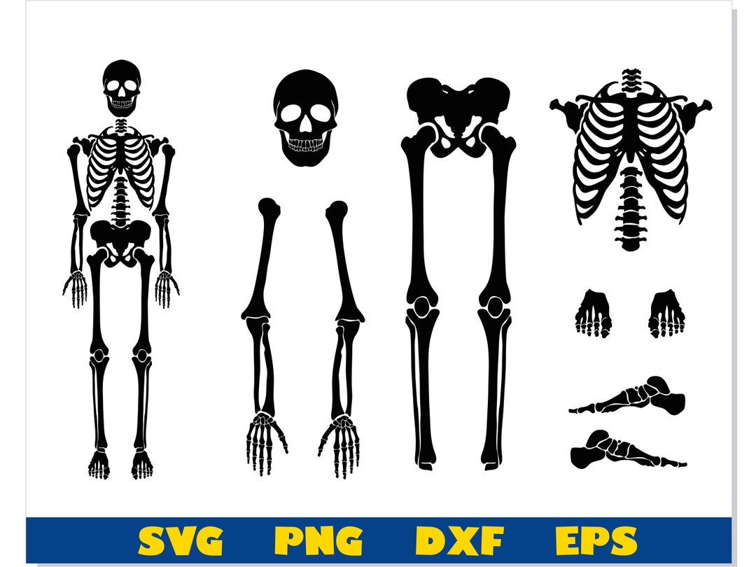 Skeleton Parts SVG, Halloween Svg, Skeleton Svg, Skeleton Bones Parts