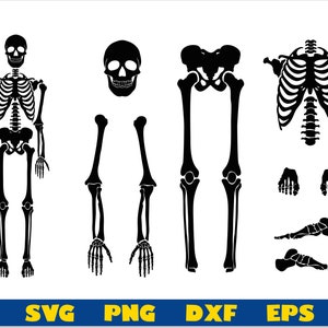 Skeleton Parts SVG, Halloween svg, Skeleton svg, Skeleton Bones parts svg, Skeleton Bones svg, Skeleton Cricut Cut Files, Skeleton Cut Files