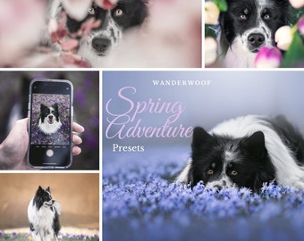 Lightroom Spring Adventure presets for dog photography