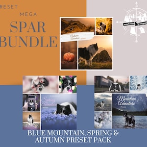 Mega Savings Bundle Adventure Presets for Dog Photography Lightroom Mobile & Desktop Presets Mountains Autumn Spring Preset Instagram Filter