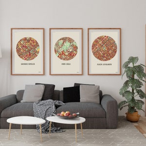 3er Set Barcelona Prints Stadtpläne Sagrada Familia, Park Güell, Placa Catalunya, Spanien | Weihnachtsgeschenk | Druckbar | Sofort Download