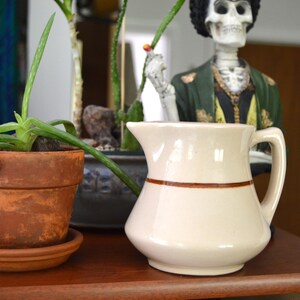 May include: A cream-colored ceramic pitcher with a brown stripe, a handle, and a rounded base. A terracotta pot with a plant and a red ladybug decoration is in the foreground. A decorative skeleton figure is in the background.