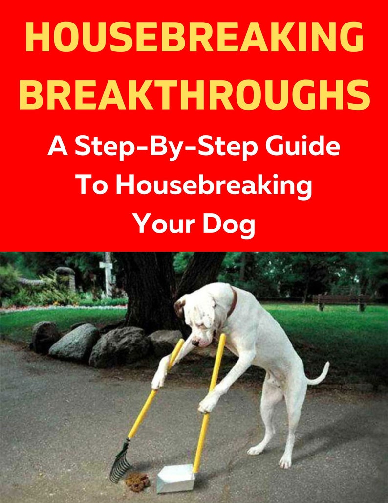 dog-potty-training-how-to-potty-train-your-dog-puppy-potty-training