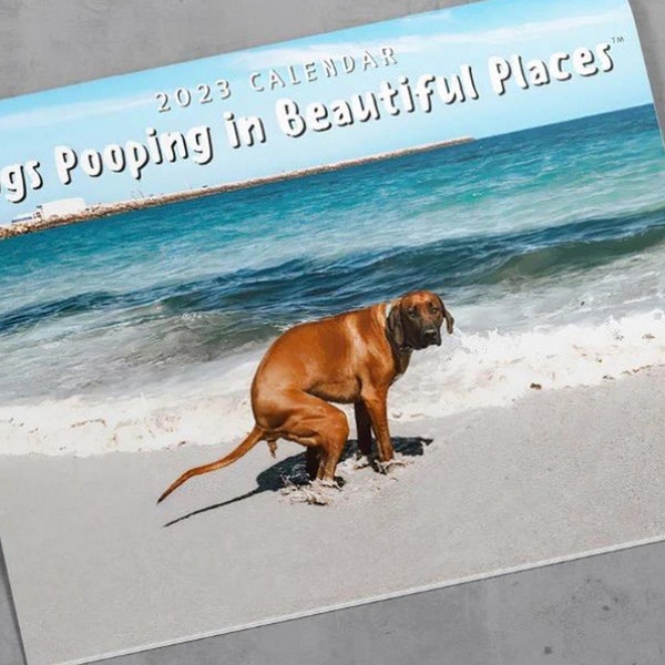 Pooping Dog Calendar Etsy Australia