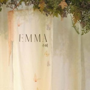 May include: A white banner with the name "EMMA" written in black lettering and the word "축해" written in Korean script. The banner is decorated with watercolor butterflies in shades of pink, yellow, and blue.