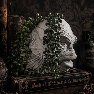 May include: A gray, textured creature head planter with prominent gills and facial features, draped with a trailing green string of pearls plant. The planter rests on a black book titled Book of Oddities & the Strange with gold lettering.