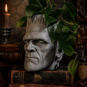 Vaso per piante del Mostro di Frankenstein / Arredamento gotico per la casa / Botanica oscura / Interni gotici / Dark Academia / Vaso per piante / Interni scuri
