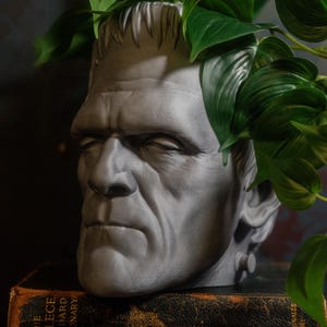 Pode incluir: Um vaso cinzento em forma de cabeça de Frankenstein com plantas verdes e frondosas a brotar do topo. O vaso assenta sobre dois livros antigos com letras douradas. Um artigo decorativo único.