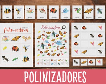 Polinizadores mini activity, Polinizadores Preschool Printable, Homeschool activity, Montessori material, Kindergarten