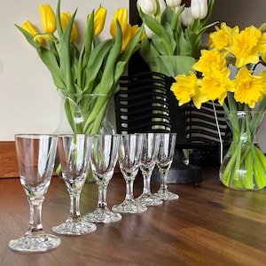 Six lead glass aperitif glasses - 100 ml Stemmed shot glasses for liquor, sherry, port, cordial- Etched Crystal barware - Set of 6