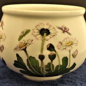 Portmeirion Botanic Garden Open Sugar Bowl