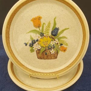 Set of 2 Mikasa Garden Bouquet Dinner Plates LK