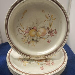 Set von 5 Royal Doulton Erntezeit Speiseteller LK