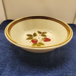 Mikasa Luscious Round Serving Bowl LK