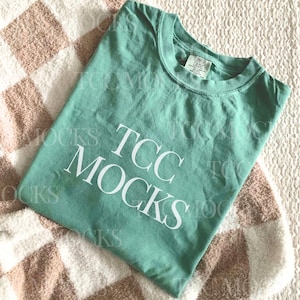 Comfort Colors 1717 Light Green Mockup,1717  T-Shirt Mockup Comfort Colors Mock Up Light Green Shirt Flat Lay Mockup, folded Shirt Mockups