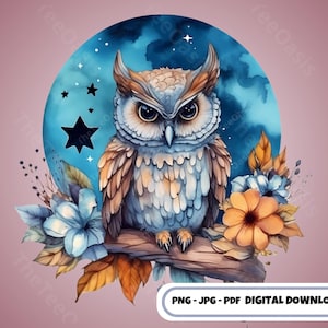Bloemen Uil Clipart Blauwe Uil Png Ster Maan Clipart Uil Minnaar Png Dierlijke Clipart Nachtuil Clip Art Afdrukbare Nachtelijke Uil Digitale Download