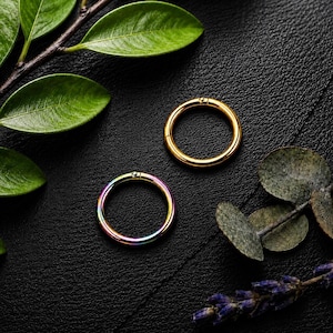 Anodized Hinged Segment Ring: 18G Cartilage Clicker Earring