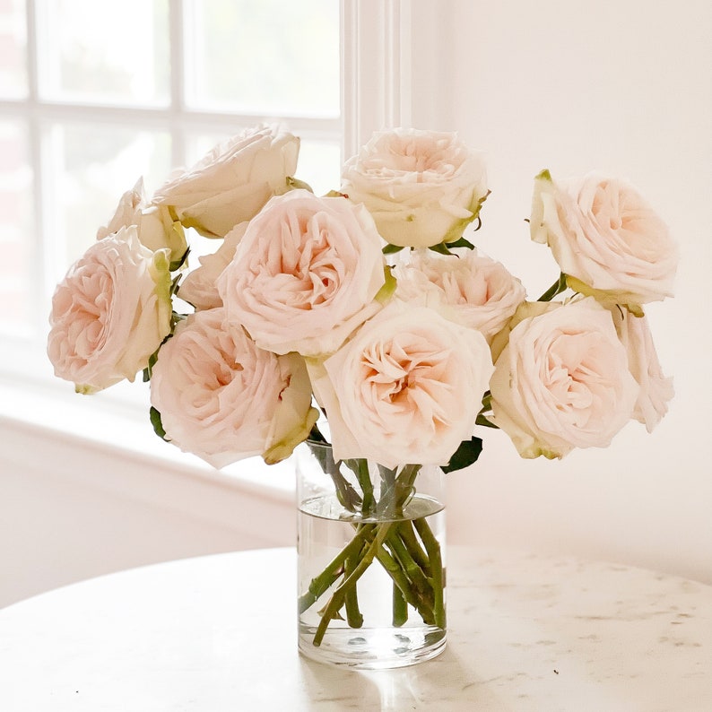 White O'hara Luxury Cut Garden Roses 12 Stems per Bunch Etsy
