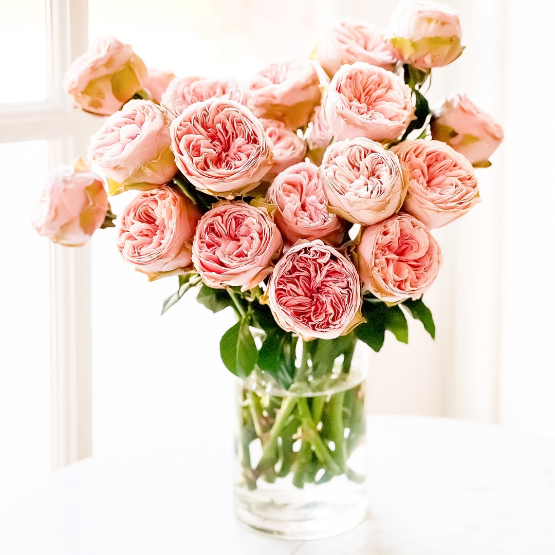 Senlitsu Wabara Luxury Cut Garden Roses 12 Stems per Bunch Etsy