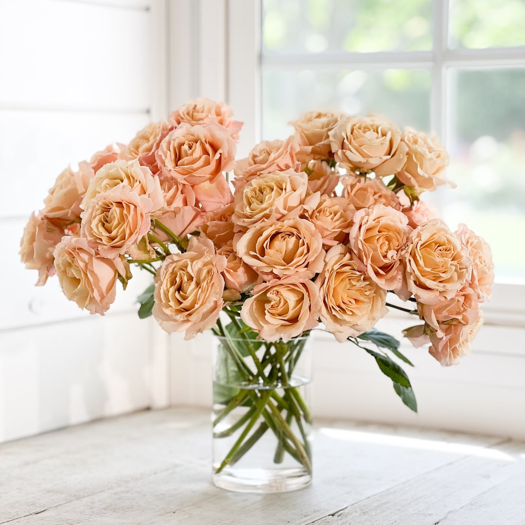 Sahara Sensation Luxury Cut Spray Garden Roses 12 Stems per Bunch Etsy