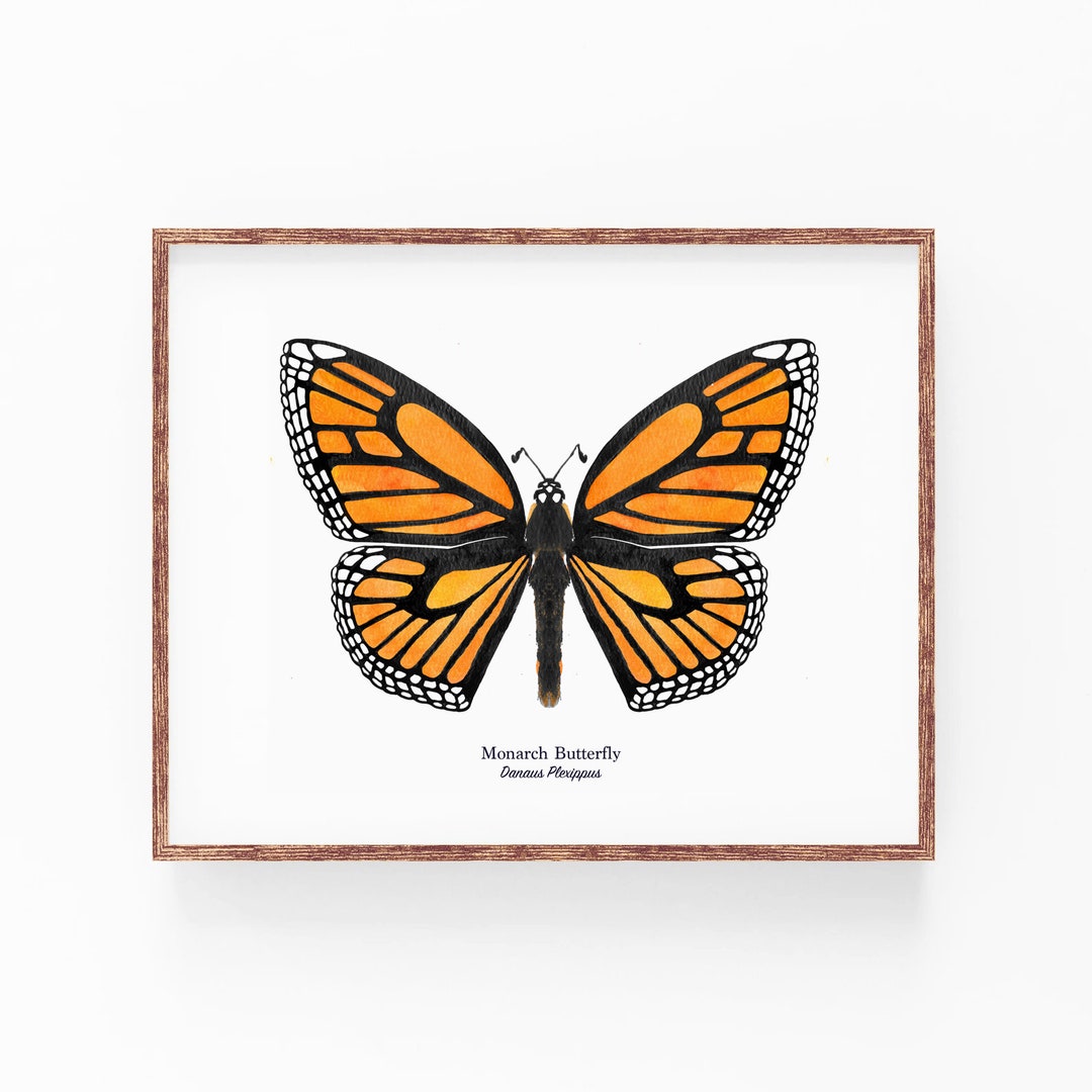 Monarch Butterfly Art Print | Watercolor Painting, Textured Paper ...