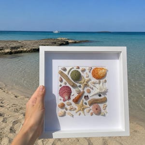 Può includere: Una cornice quadrata bianca contenente una collezione di varie conchiglie, stelle marine, ricci di mare e pezzi di legno galleggiante disposti su uno sfondo bianco. L'assortimento include elementi nei toni del rosa, arancione, beige, verde e bianco.