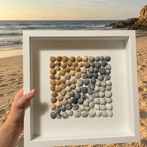 Könnte beinhalten: Ein quadratischer weißer Rahmen mit einer Sammlung kleiner Muscheln, die in einem Raster angeordnet sind. Die Muscheln zeigen einen Farbverlauf von warmem Hellbraun und Braun auf der linken Seite bis hin zu kühlen Grau- und Weißtönen.