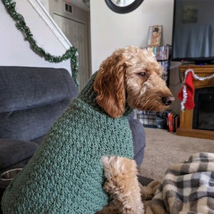 Crocheted Doggy Sweater