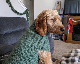 Crocheted Doggy Sweater