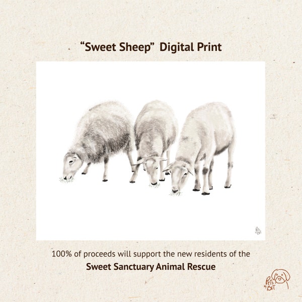 Sweet Sheep, Farm Animal Digital Print - 100% of proceeds will be donated to The Sweet Sanctuary in support of their new residents