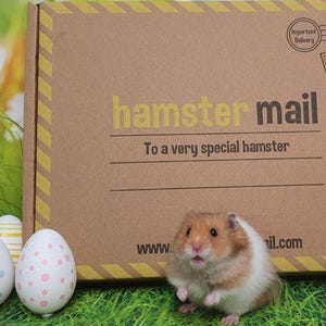 May include: A brown cardboard box with the words "hamster mail" and "To a very special hamster" printed on it. A small hamster stands in front of the box, with several decorated Easter eggs on the left and right. The background is green.
