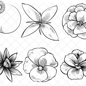 Outline flower svg\ dxf\ eps\ png\ jpg\ flower outline svg\ daisy outline svg\ daisy svg\ daisy outline printable\ instant download