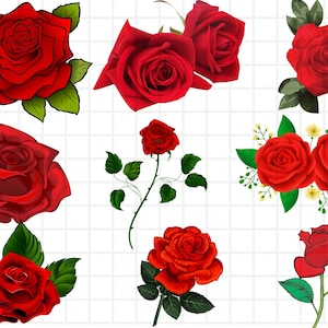Red rose SVG\ Rose SVG bundle\ Red rose Clipart\ Roses template svg\ Vector red roses\ Rose svg designs\ Bouquet svg\ Flowers svg bundle