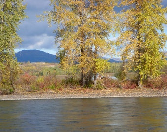 Landscape Wall Art, Immediate Download, Remote Canada River Scene
