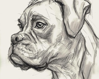 Ritratto personalizzato di cane o gatto da foto, disegnato a mano a carboncino e matita, opera d'arte commemorativa per animali domestici.