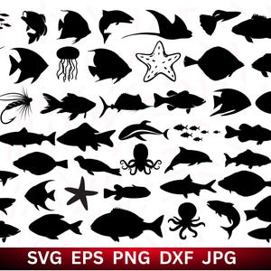 Fish SVG Bundle, Fish PNG Bundle, Fish Clipart, Fish SVG Cut Files for Cricut, Tropical Fish Svg, Fish Silhouette, Fish Vector