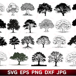 Oak Tree SVG, Tree Svg, Big Tree Svg, Oak SVG, Outdoor SVG, Tree Svg Bundle, Tree Clipart Bundle, Oak Tree Silhouette, Trees Svg, Oak Cricut
