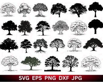 Eikenboom SVG-bundel: silhouet clipart voor Cricut (digitale download