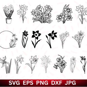 May include: A collection of black and white daffodil illustrations in various styles. Some daffodils are in pots, others are single stems, and some are grouped together. The image includes the text "SVG EPS PNG DXF JPG" at the bottom.