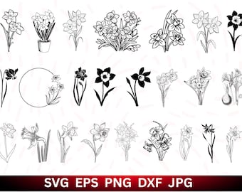 Daffodil Flowers SVG Bundle: Cricut Clipart (Instant Download)