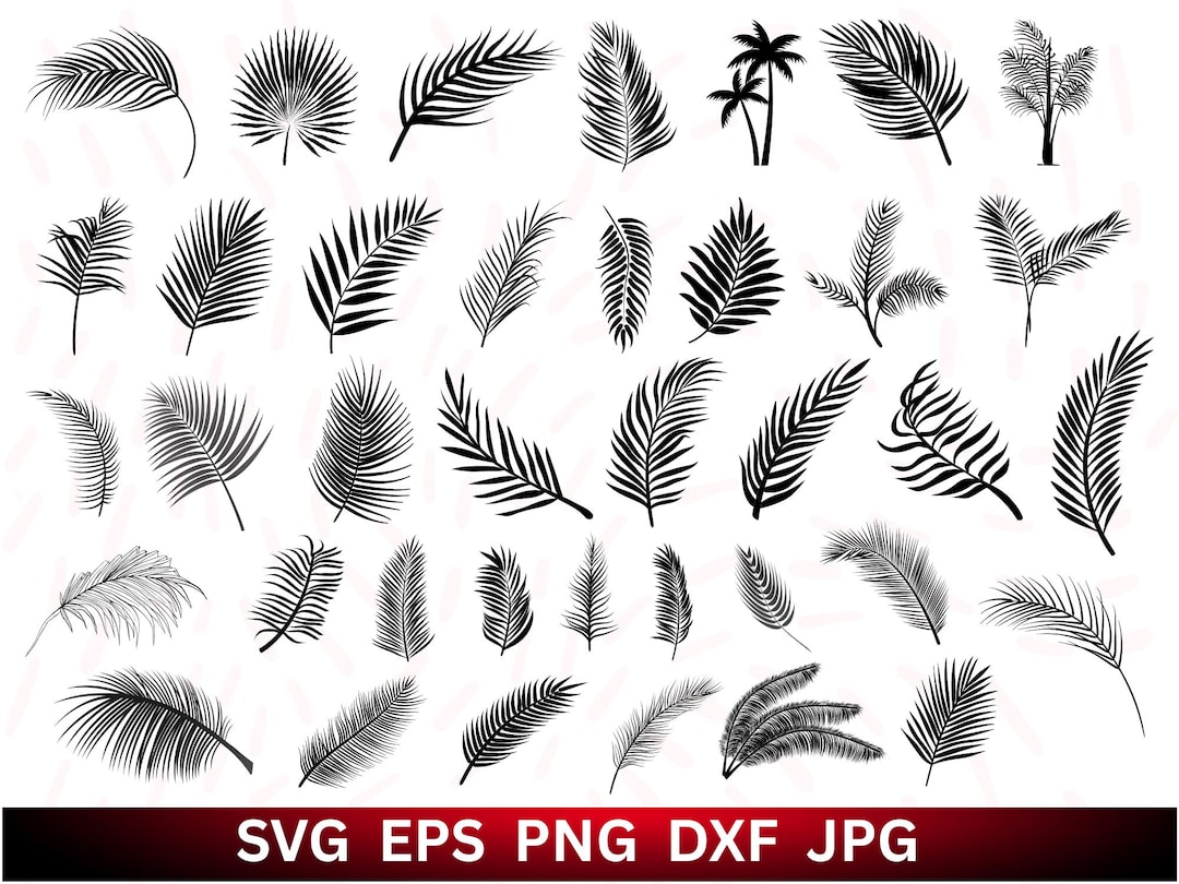 Palm Leaf SVG Bundle: Hand-drawn Tropical Leaves Clipart (digital ...