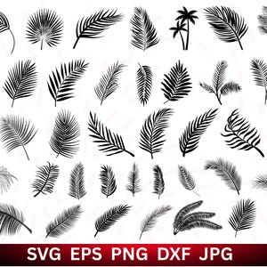 Palm Leaf SVG, Palm Leaves Svg, Hand Drawn Leaves Svg, Palm Leaf Cricut, Palm Leaf Bundle, Tropical Leaf Cut File, Tropical Leaves Clipart