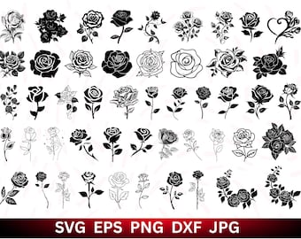 Rose SVG Bundle: Umriss, Silhouette, botanische Designs (Digitaler Download)