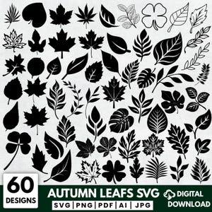 Op de afbeelding: Een verzameling van 60 zwarte bladontwerpen in verschillende vormen en maten, waaronder esdoornbladeren, varens en klavers. De tekst "AUTUMN LEAFS SVG" en "DIGITALE DOWNLOAD" worden op een groene achtergrond weergegeven.