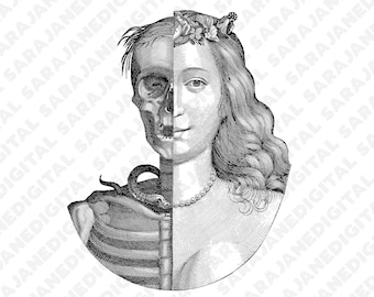 Life and death woman skeleton bones vintage sketch PNG SVG, vintage illustration, clip art, hand drawn, Vector, Transparent Background