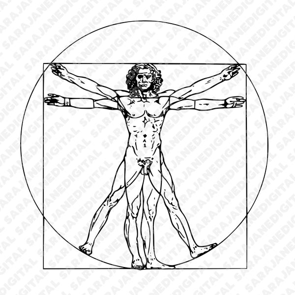 Leonardo da Vinci vitruvian man anatomy artist PNG SVG, vintage illustration, clip art, hand drawn, Vector, Transparent Background