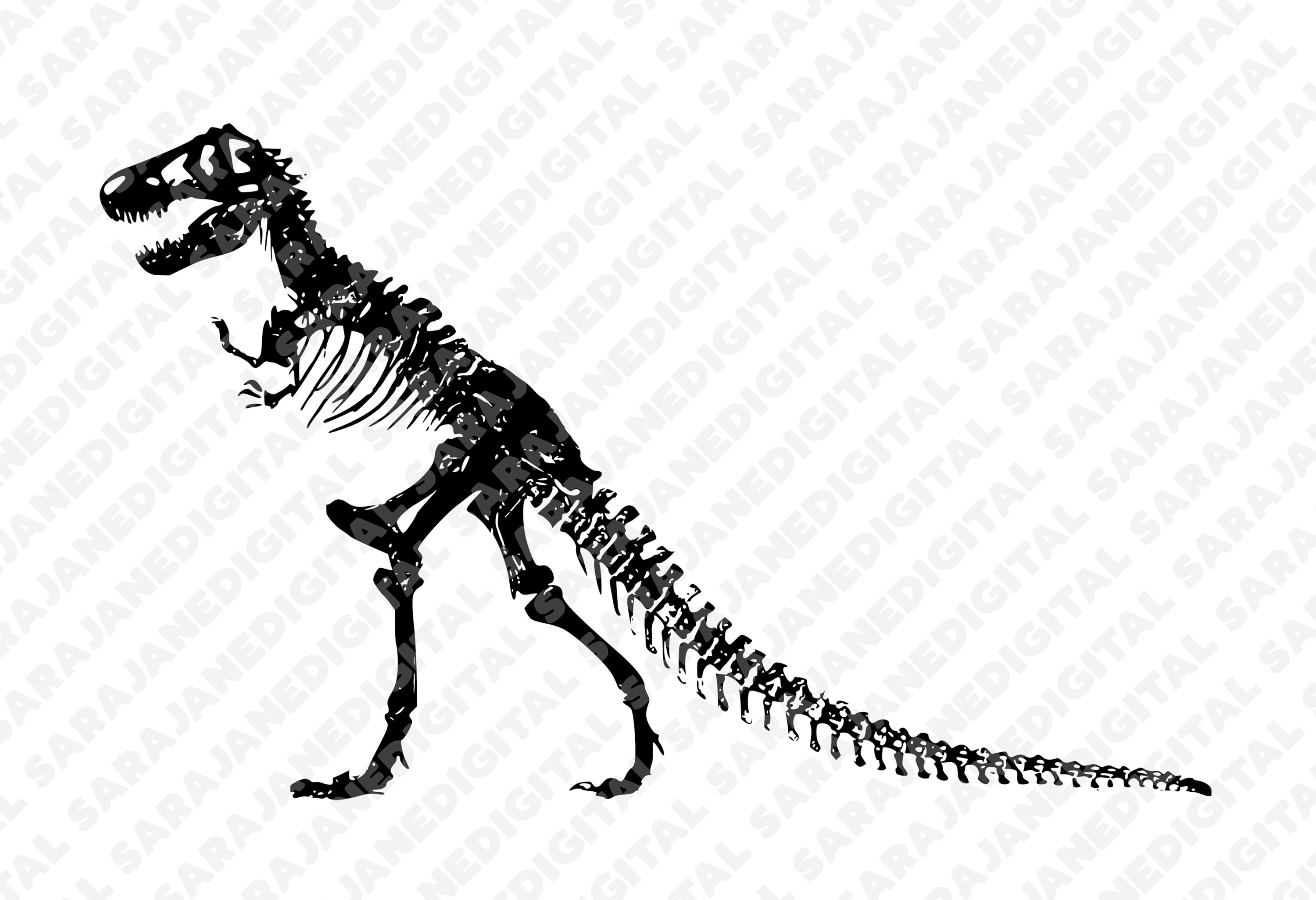 Dinosaur Fossil T Rex Skeleton Paleontology PNG SVG Vintage Etsy